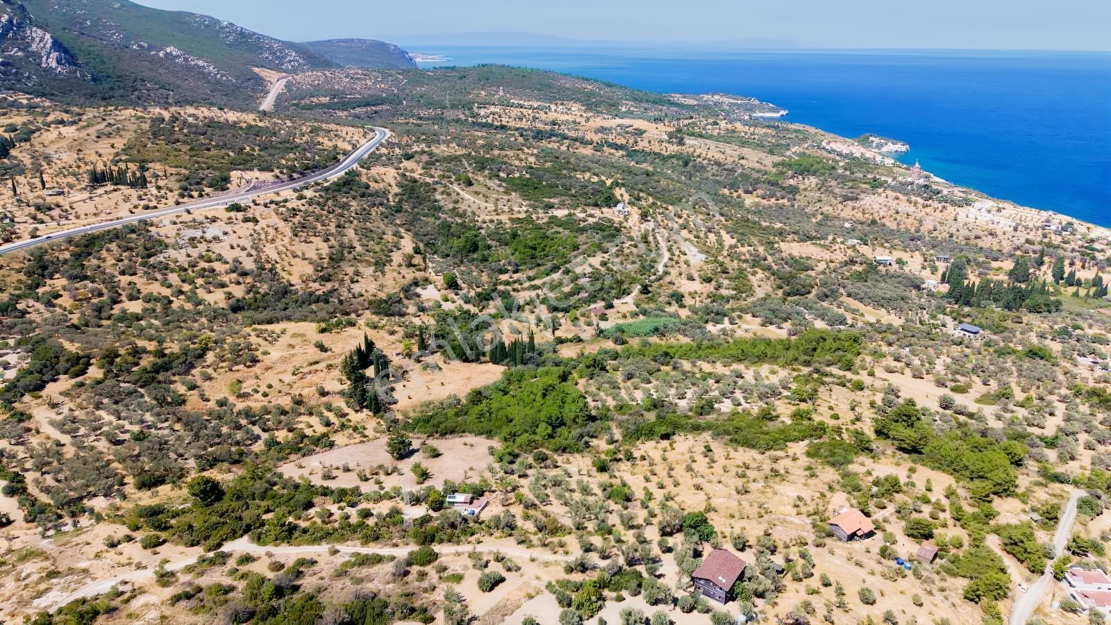 İçmekıyısı Koyuna 300 Mt Mesafede 5 Dönüm Zeytinlik — fotoğraf 21