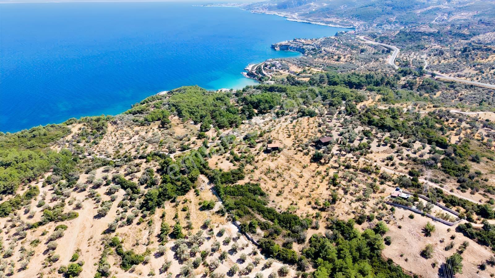 İçmekıyısı Koyuna 300 Mt Mesafede 5 Dönüm Zeytinlik — fotoğraf 28