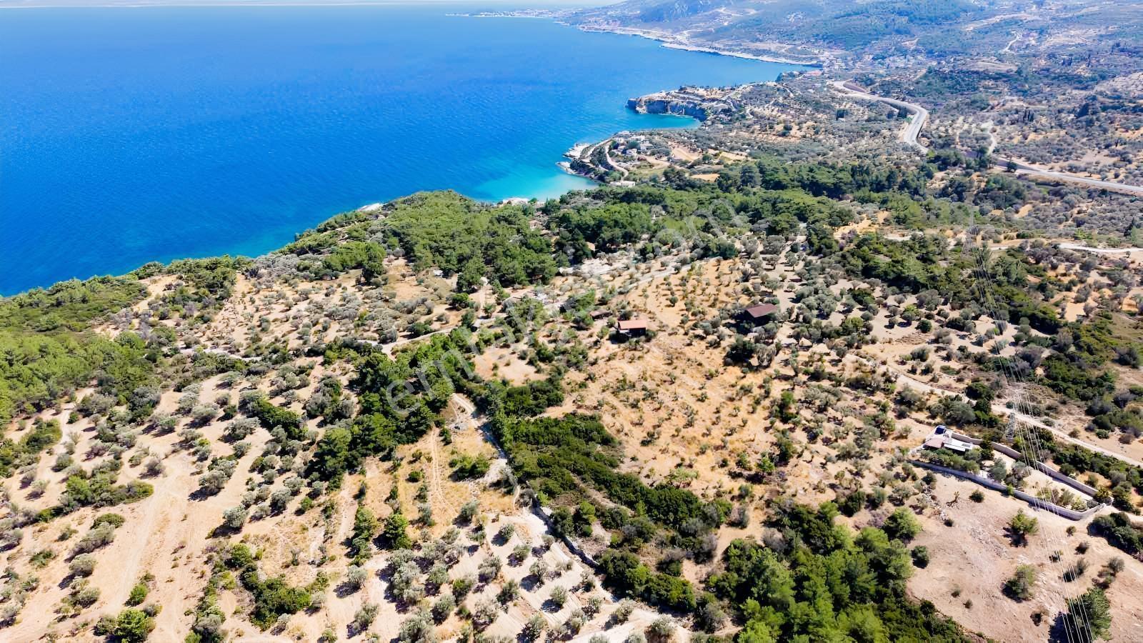 İçmekıyısı Koyuna 300 Mt Mesafede 5 Dönüm Zeytinlik — fotoğraf 29