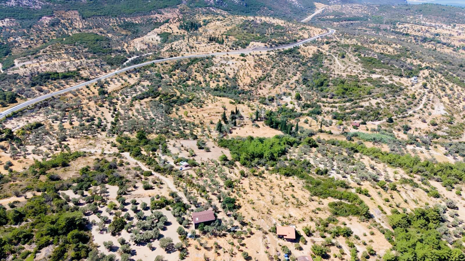 İçmekıyısı Koyuna 300 Mt Mesafede 5 Dönüm Zeytinlik — fotoğraf 31