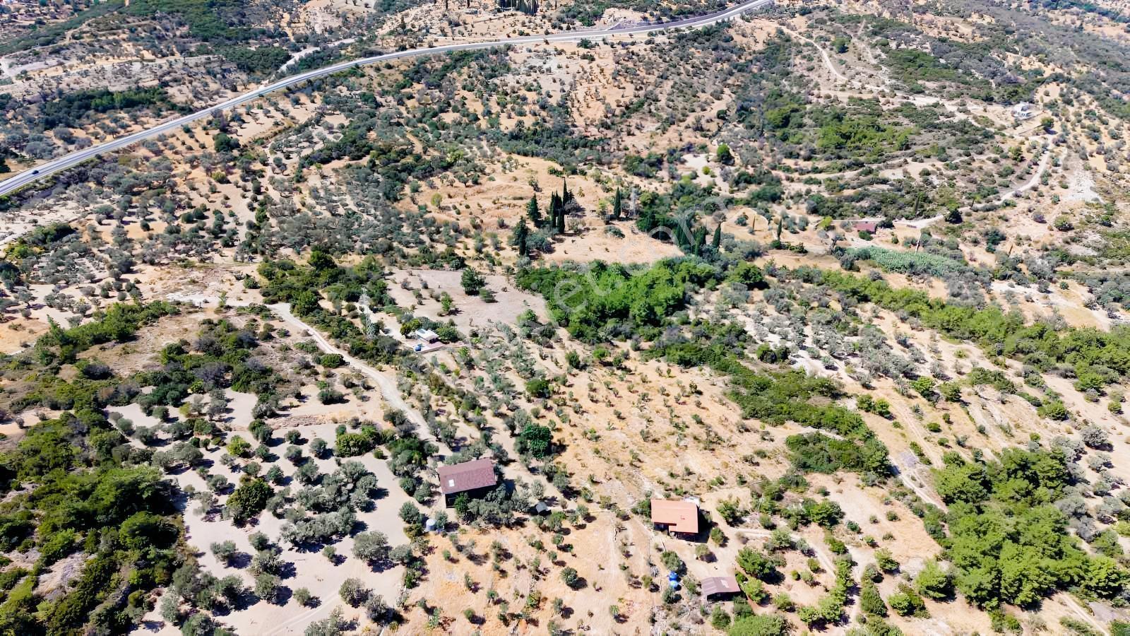 İçmekıyısı Koyuna 300 Mt Mesafede 5 Dönüm Zeytinlik — fotoğraf 32