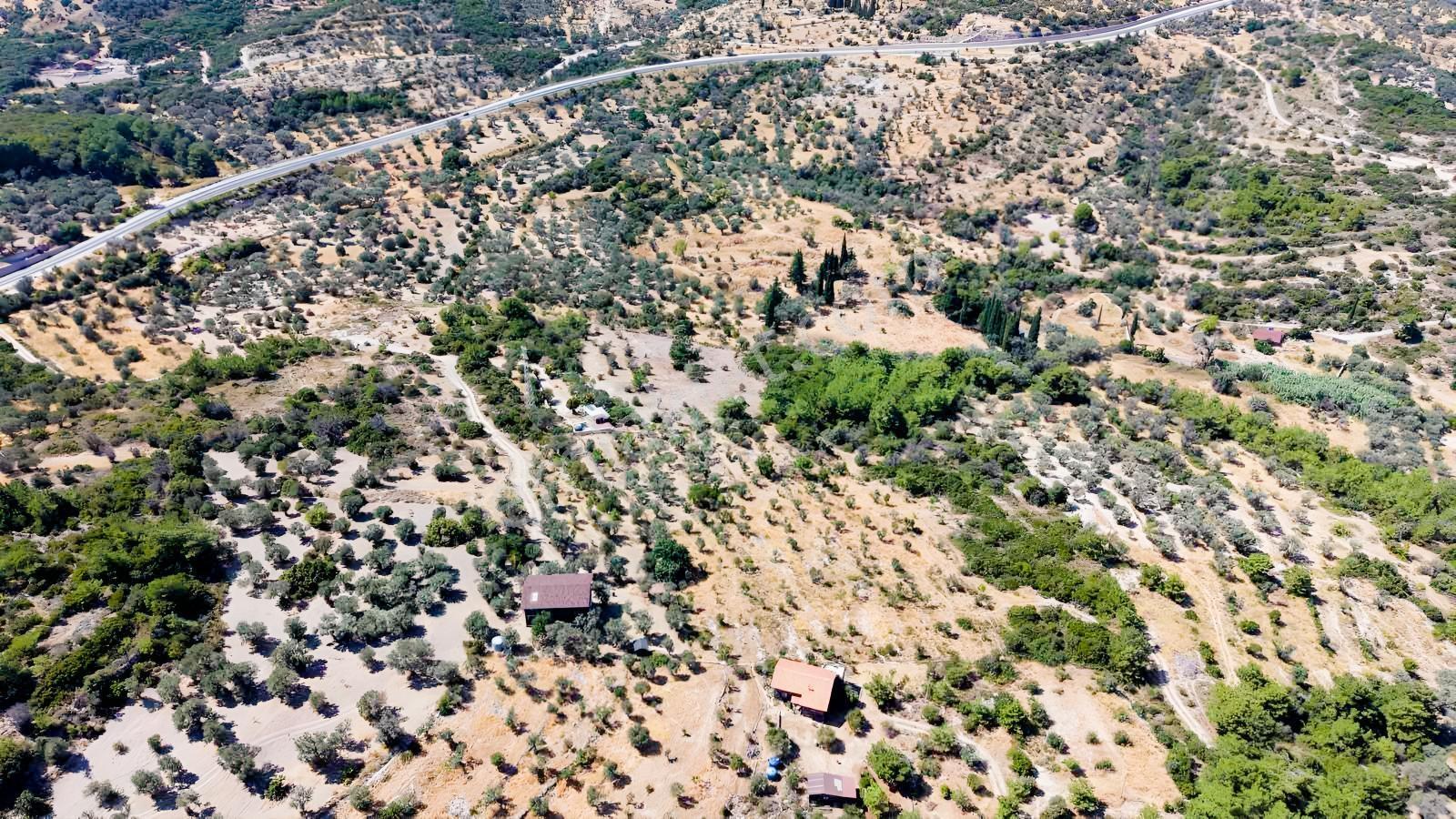 İçmekıyısı Koyuna 300 Mt Mesafede 5 Dönüm Zeytinlik — fotoğraf 33