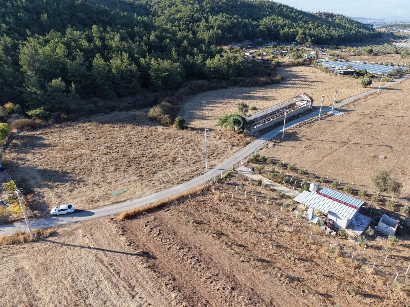 Q'zen Den Ana Yola Yakın 3825 M2 Tek Tapu Uygun Tarla — fotoğraf 3