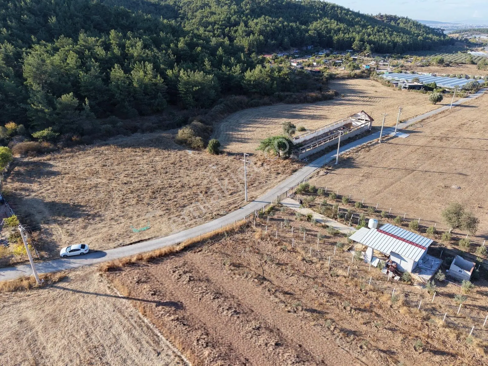 Q'zen Den Ana Yola Yakın 3825 M2 Tek Tapu Uygun Tarla — fotoğraf 4