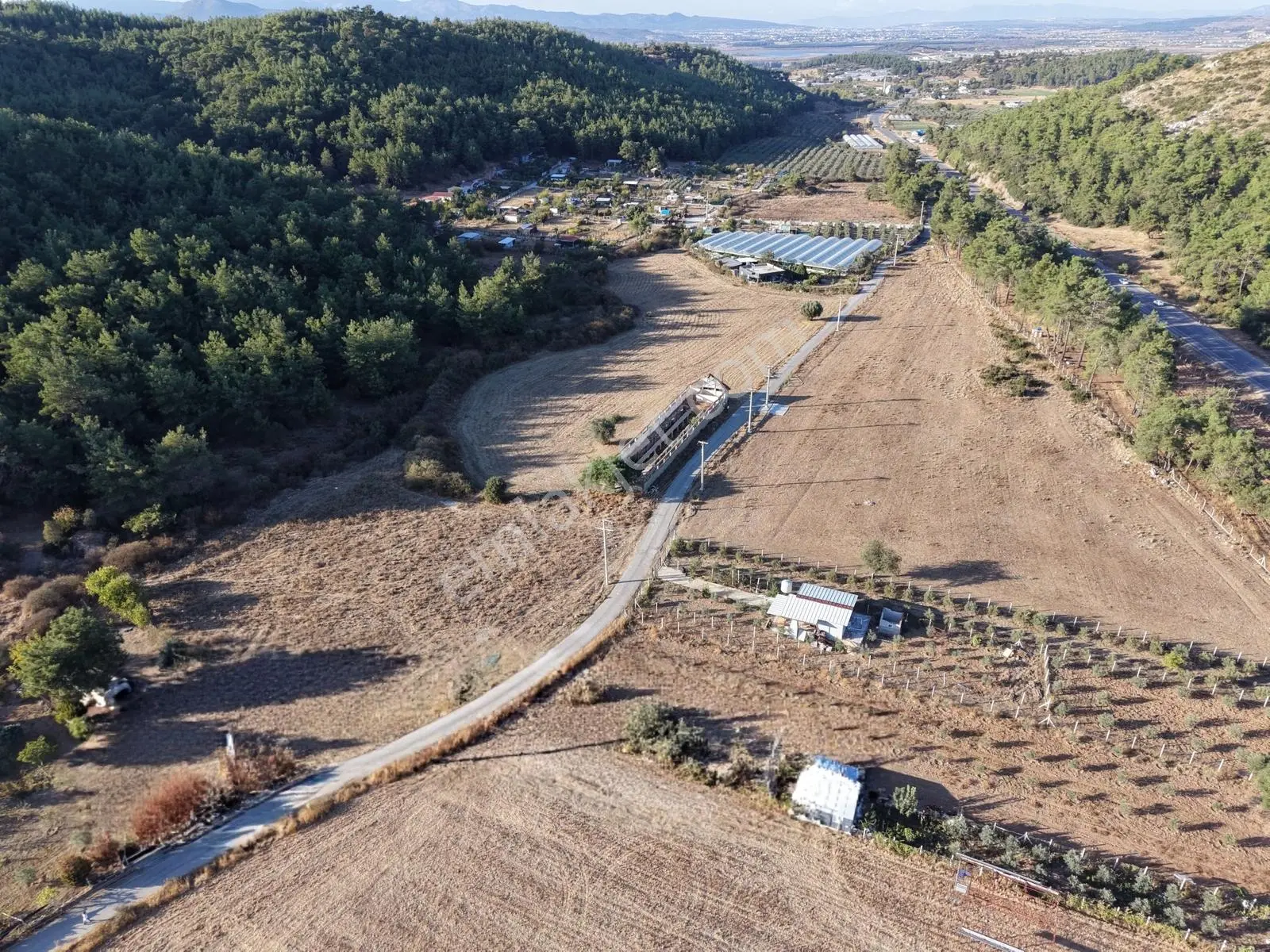 Q'zen Den Ana Yola Yakın 3825 M2 Tek Tapu Uygun Tarla — fotoğraf 5