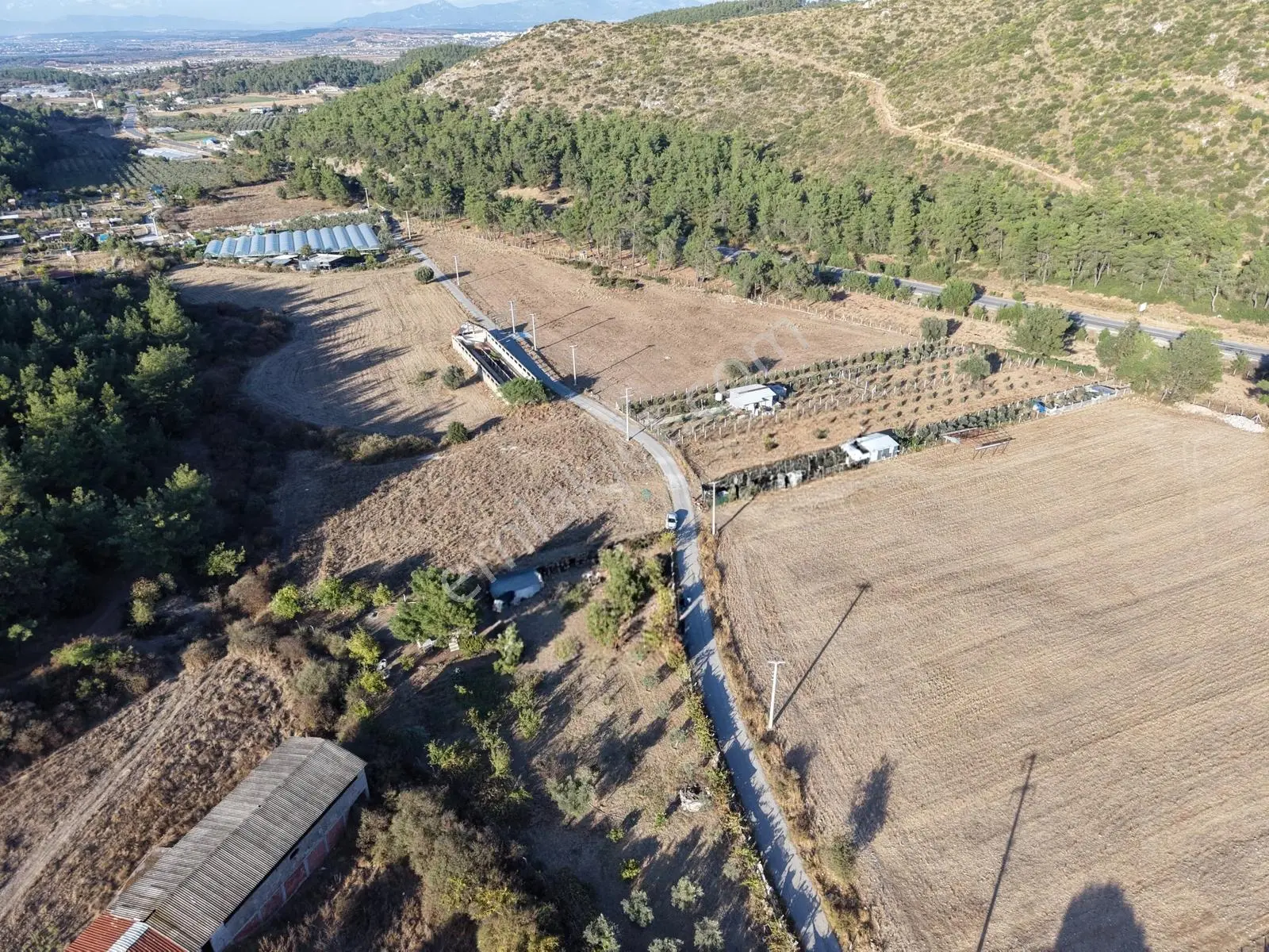 Q'zen Den Ana Yola Yakın 3825 M2 Tek Tapu Uygun Tarla — fotoğraf 7