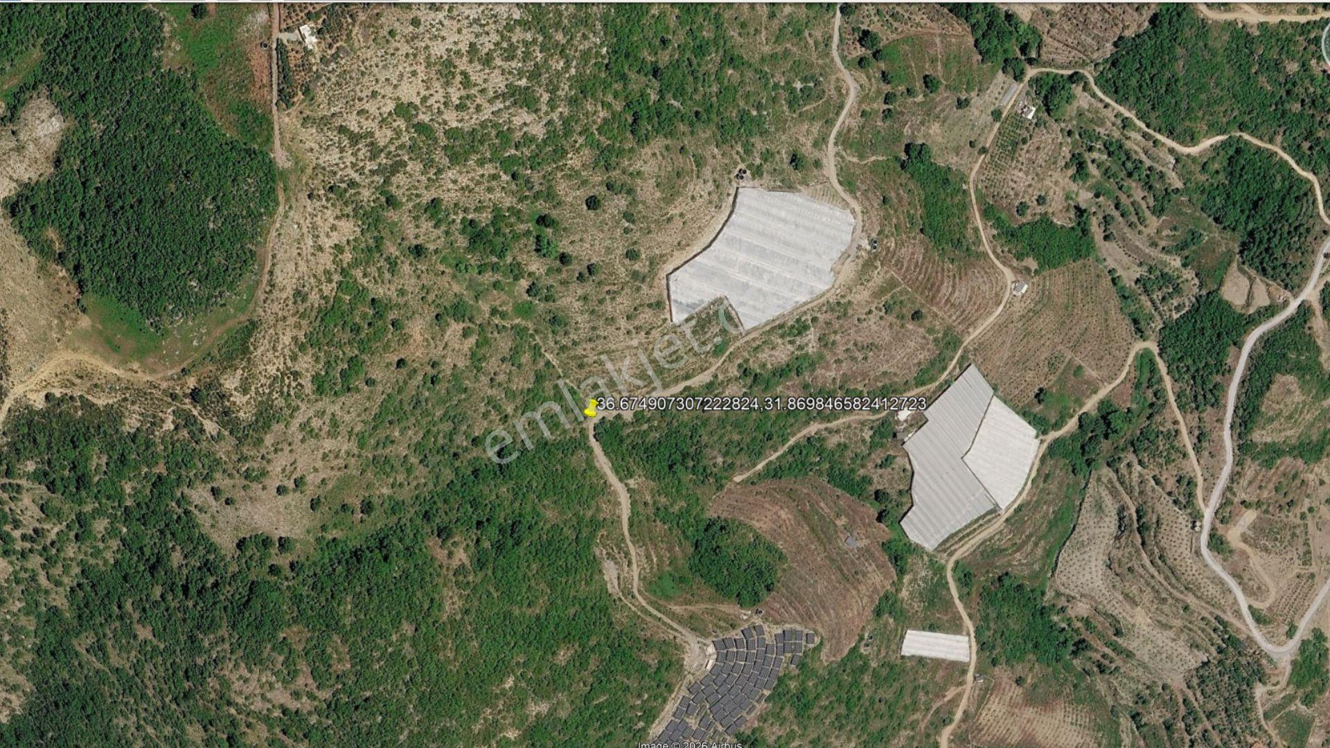 Alanya Güneyköy'de Satılık 1.540 M2 Müstakil Tapulu Tarla — fotoğraf 3