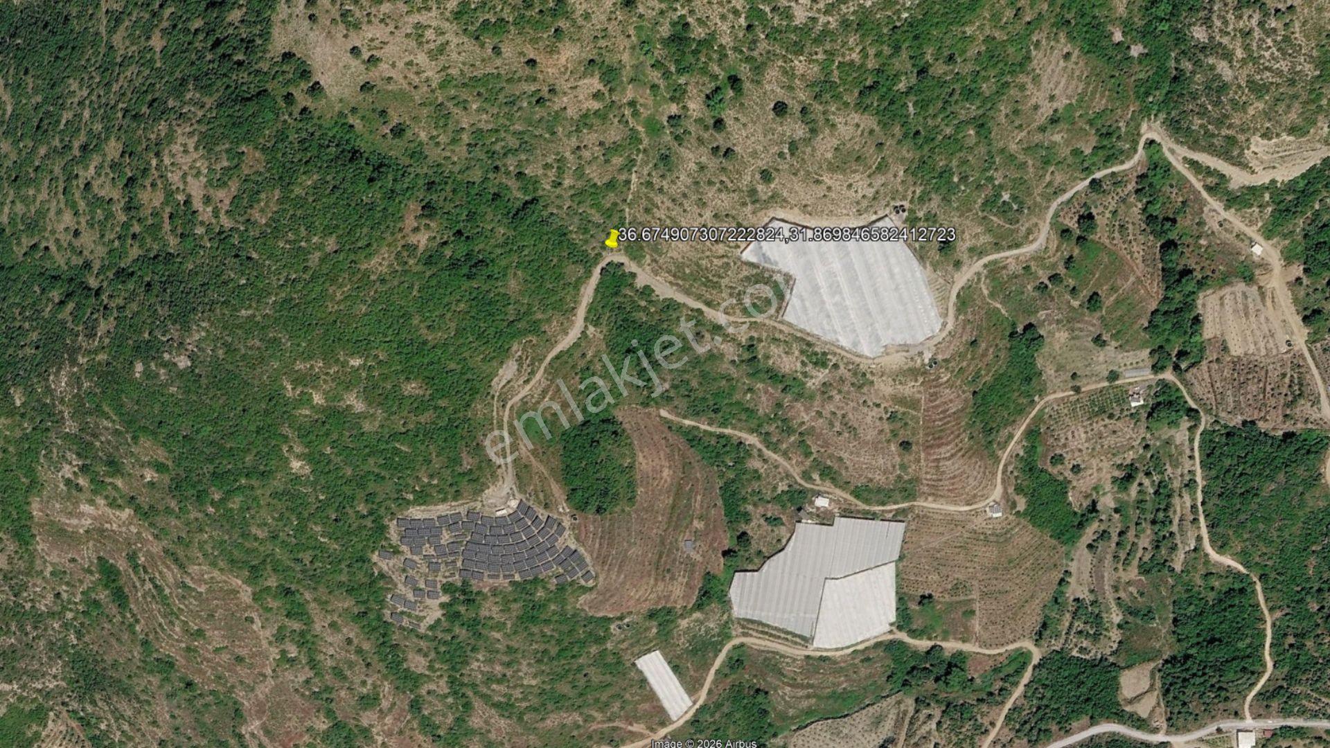 Alanya Güneyköy'de Satılık 1.540 M2 Müstakil Tapulu Tarla — fotoğraf 4