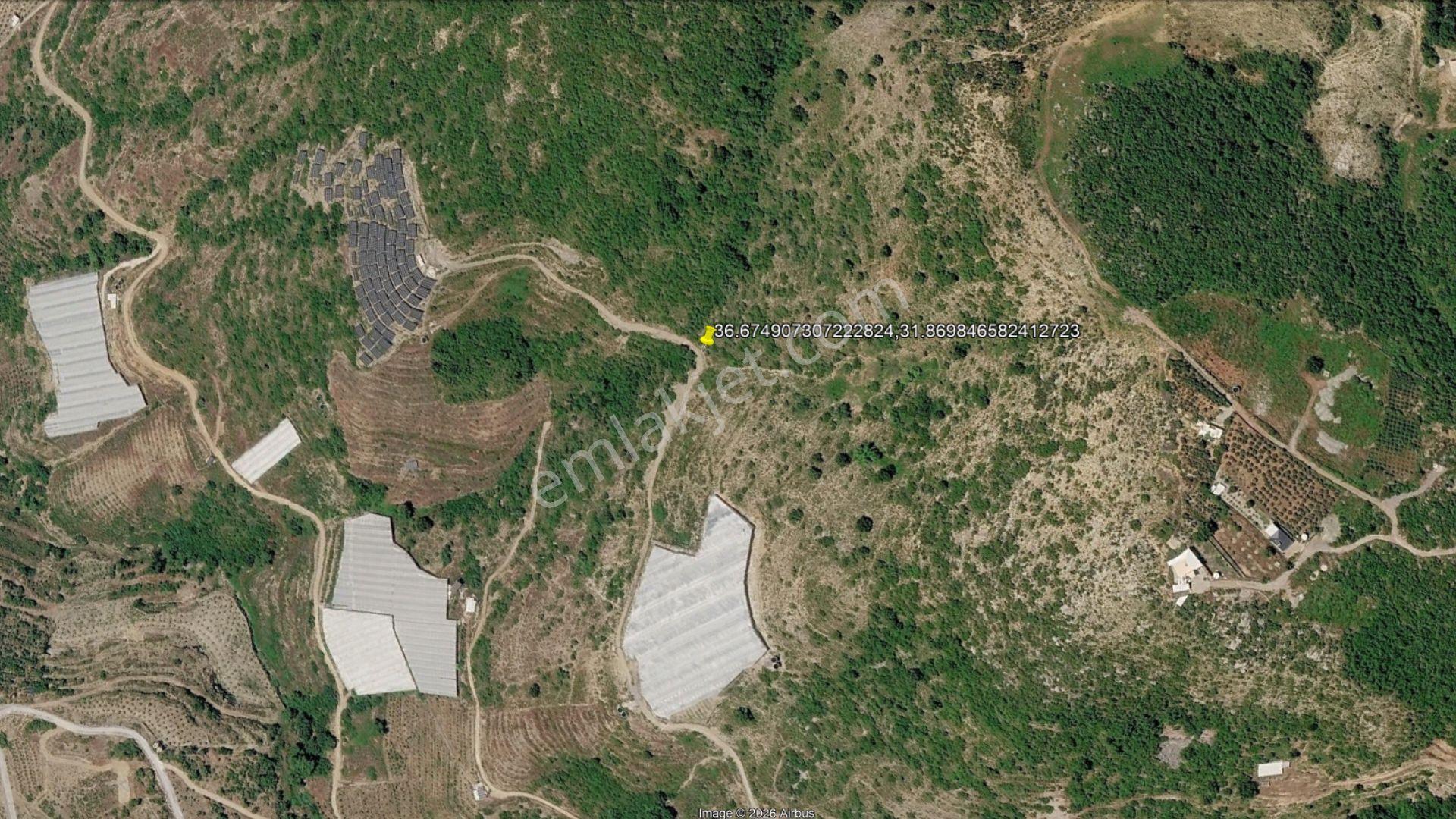 Alanya Güneyköy'de Satılık 1.540 M2 Müstakil Tapulu Tarla — fotoğraf 6