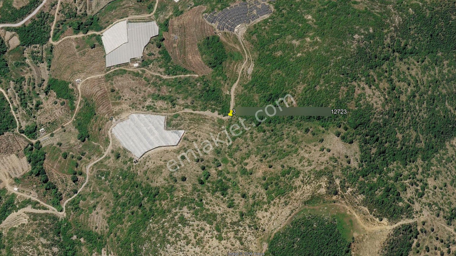 Alanya Güneyköy'de Satılık 1.540 M2 Müstakil Tapulu Tarla — fotoğraf 7
