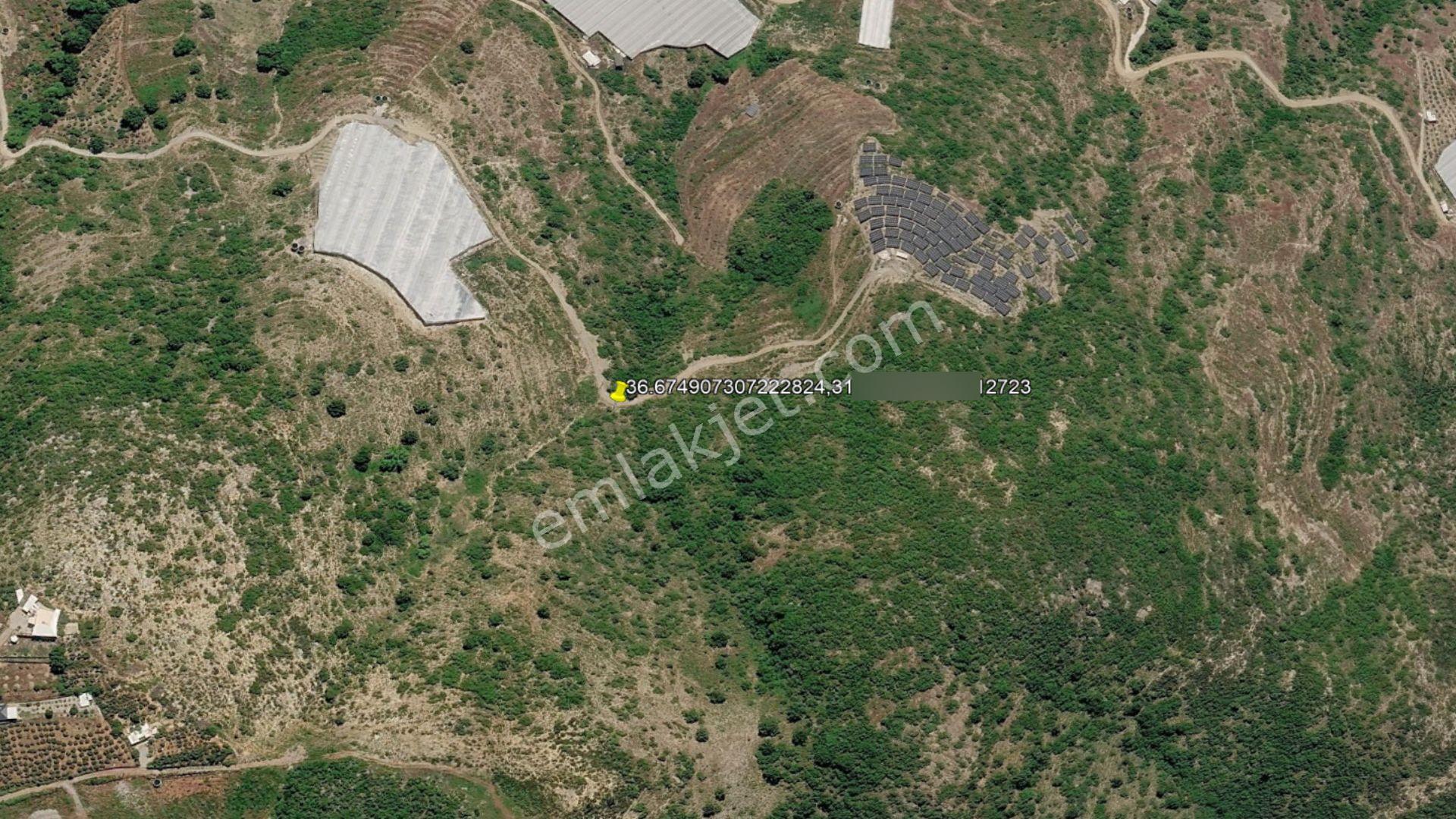 Alanya Güneyköy'de Satılık 1.540 M2 Müstakil Tapulu Tarla — fotoğraf 8