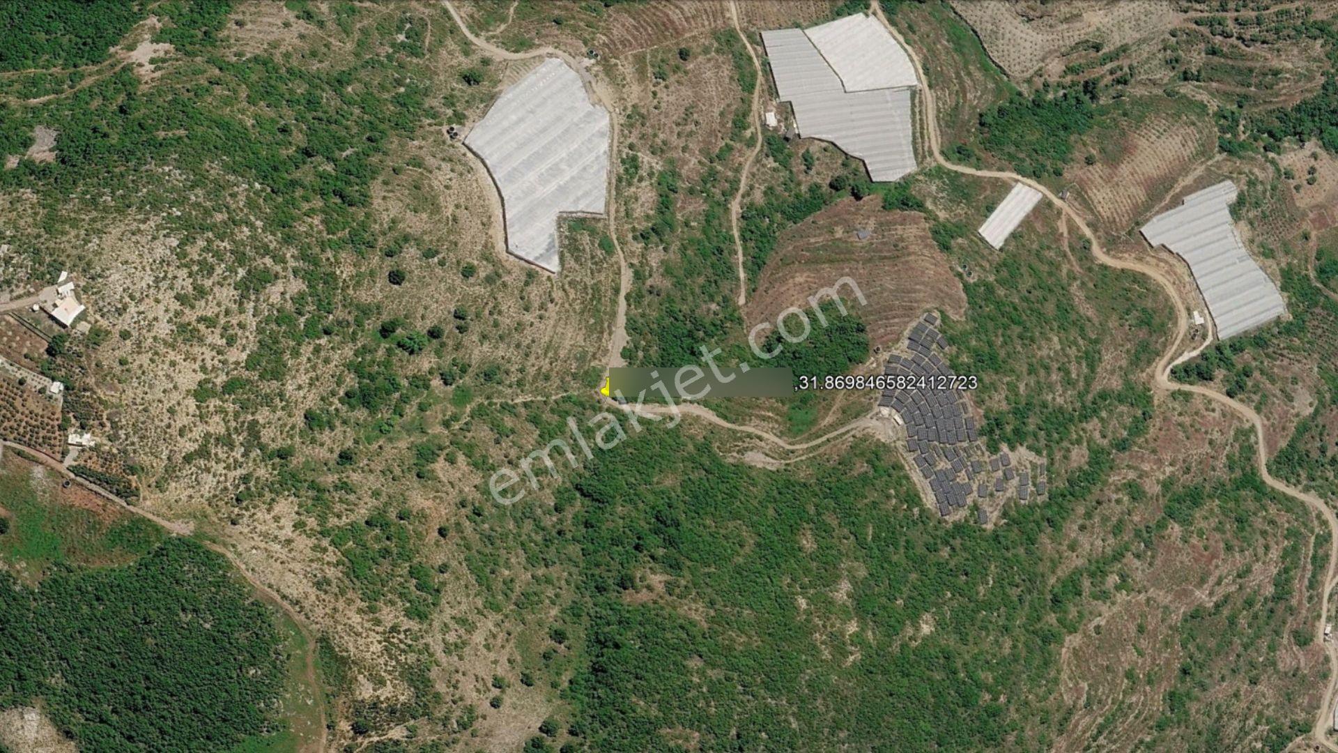 Alanya Güneyköy'de Satılık 1.540 M2 Müstakil Tapulu Tarla — fotoğraf 9