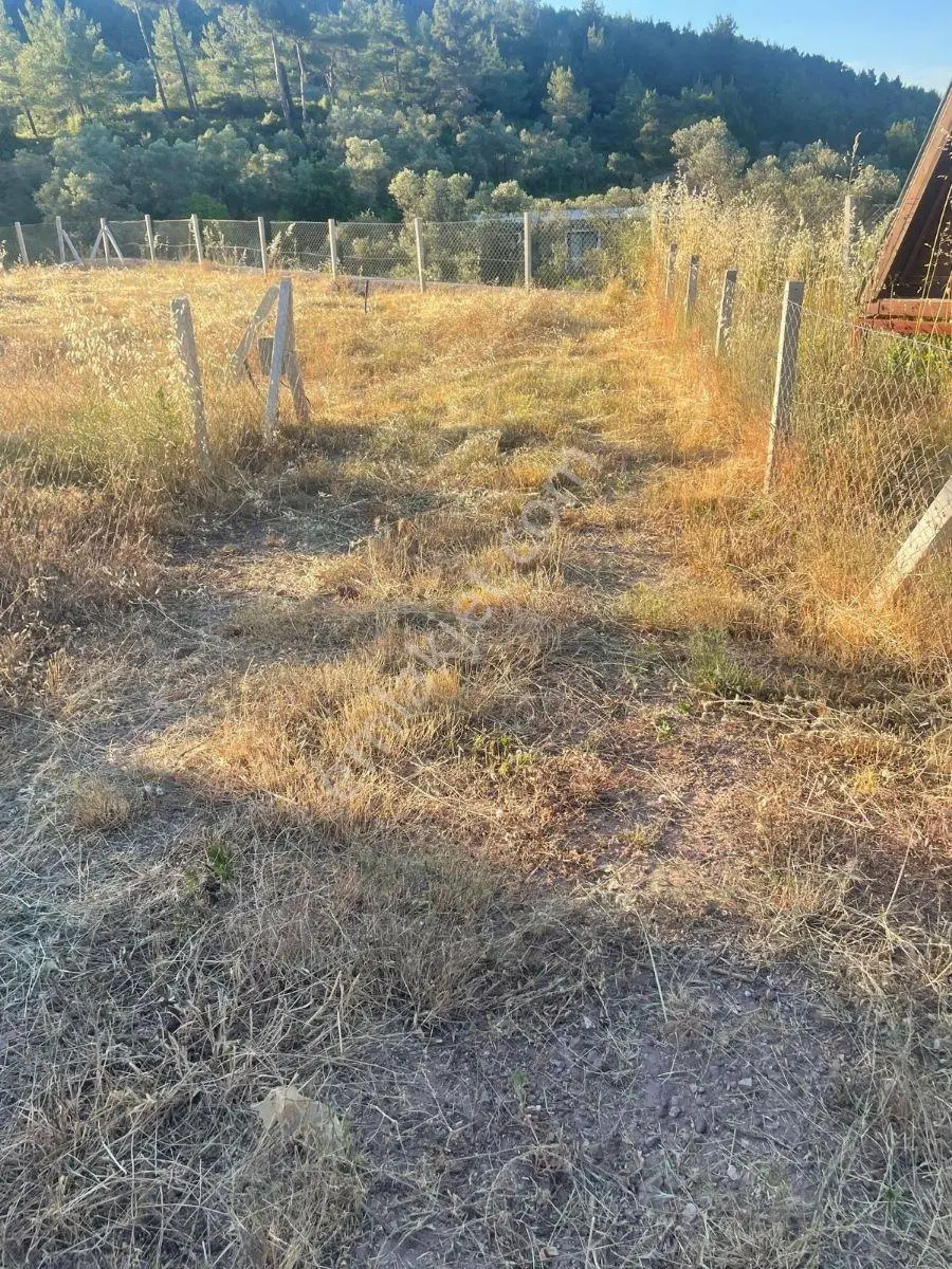 Çatalcada 400 M2 Manzaralı Köyiçi Tapulu Bahçeler Ve Yaşam Alanı — fotoğraf 2