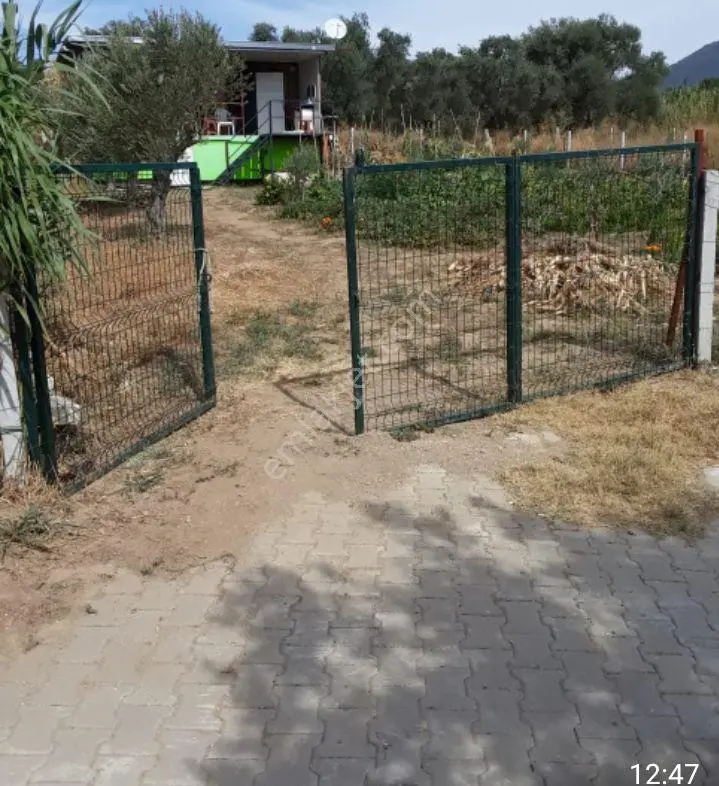 İçinde Eşyalı Konteyner Bulunan 800m Bahçe — fotoğraf 4