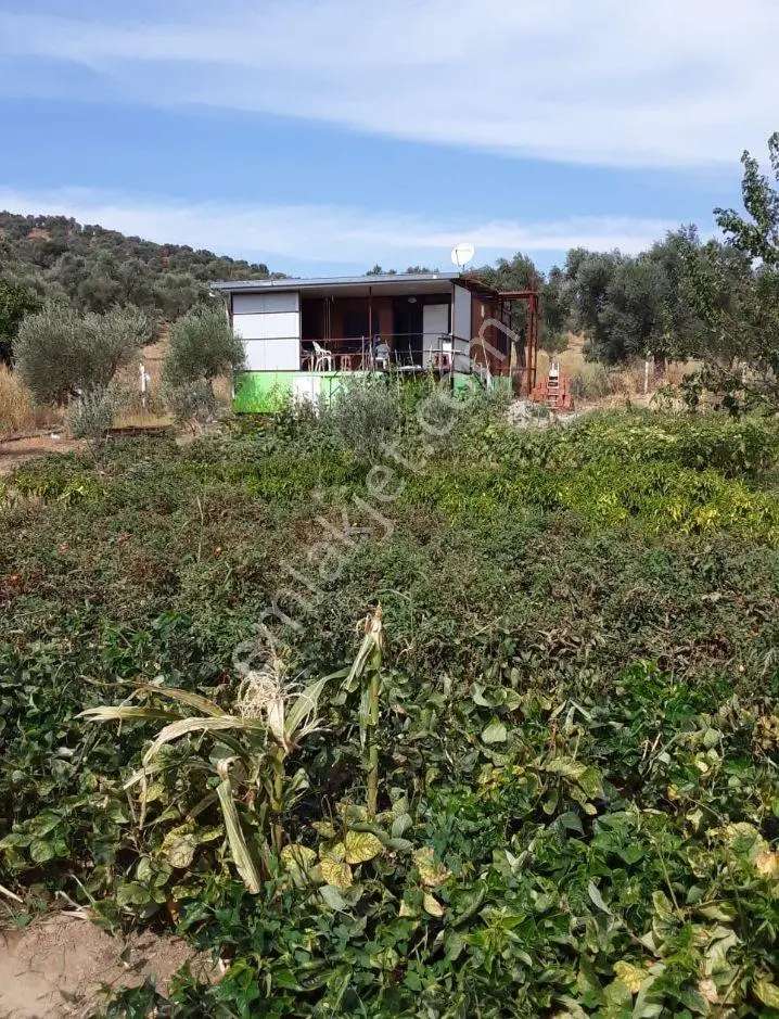 İçinde Eşyalı Konteyner Bulunan 800m Bahçe — fotoğraf 5