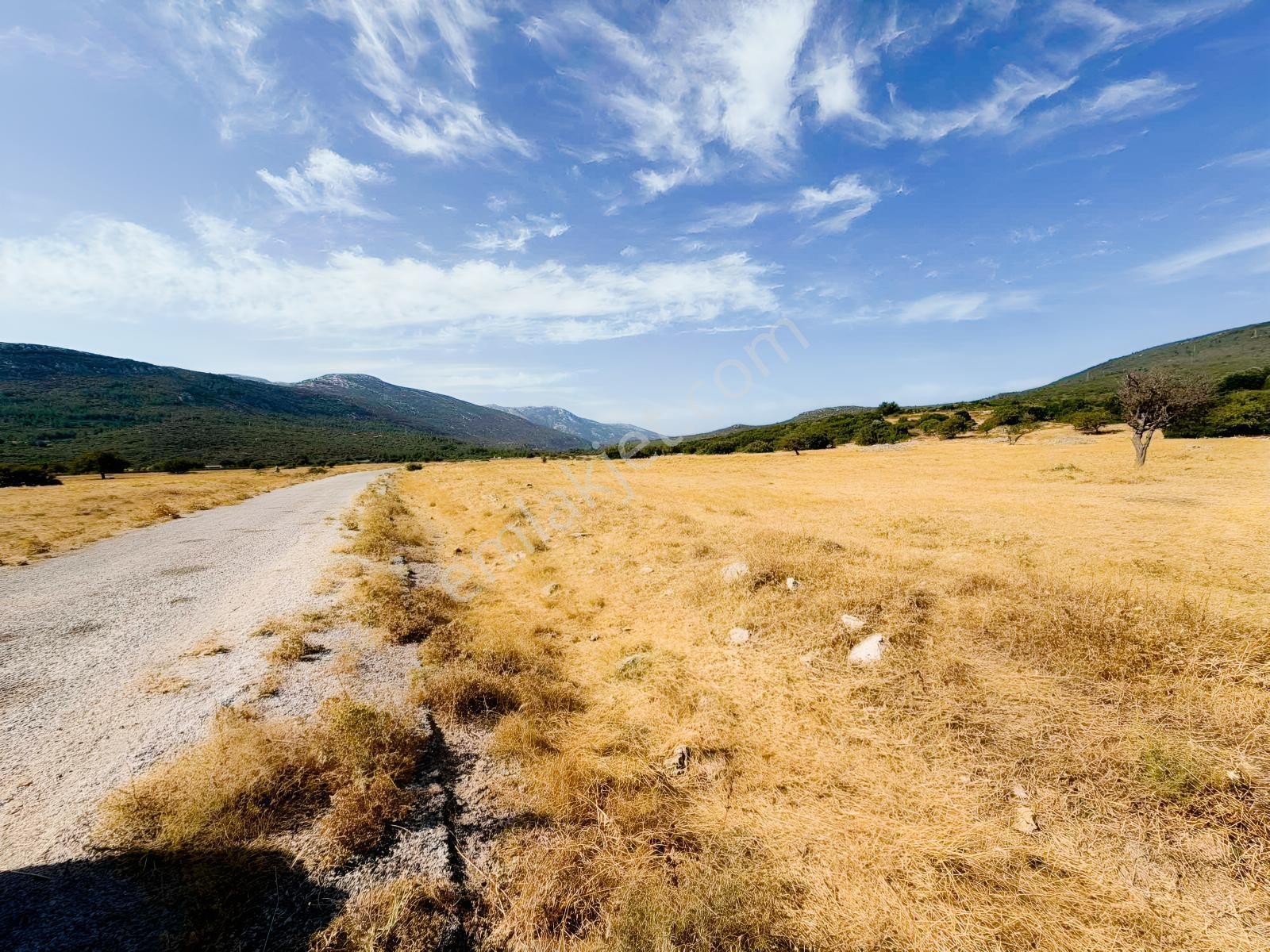 Startkey Ada Gayrimenkul'den Eğlenhoca Ovacıkta Yatırımlık Tarla — fotoğraf 3