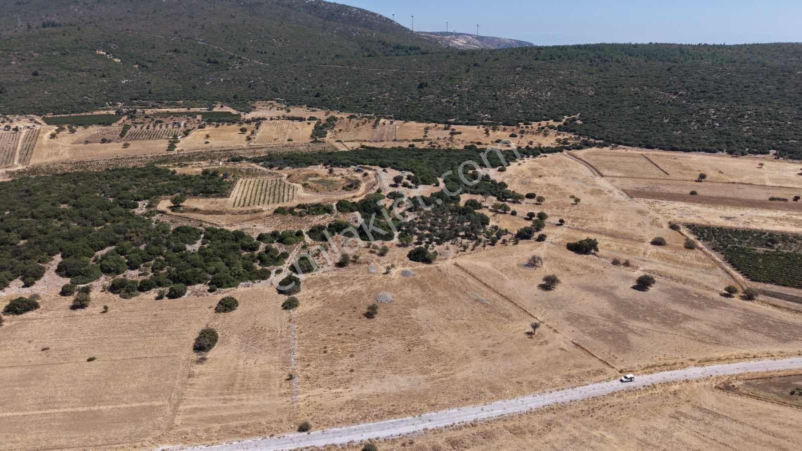 Startkey Ada Gayrimenkul'den Eğlenhoca Ovacıkta Yatırımlık Tarla — fotoğraf 22