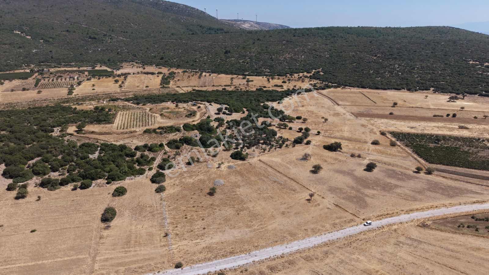 Startkey Ada Gayrimenkul'den Eğlenhoca Ovacıkta Yatırımlık Tarla — fotoğraf 23