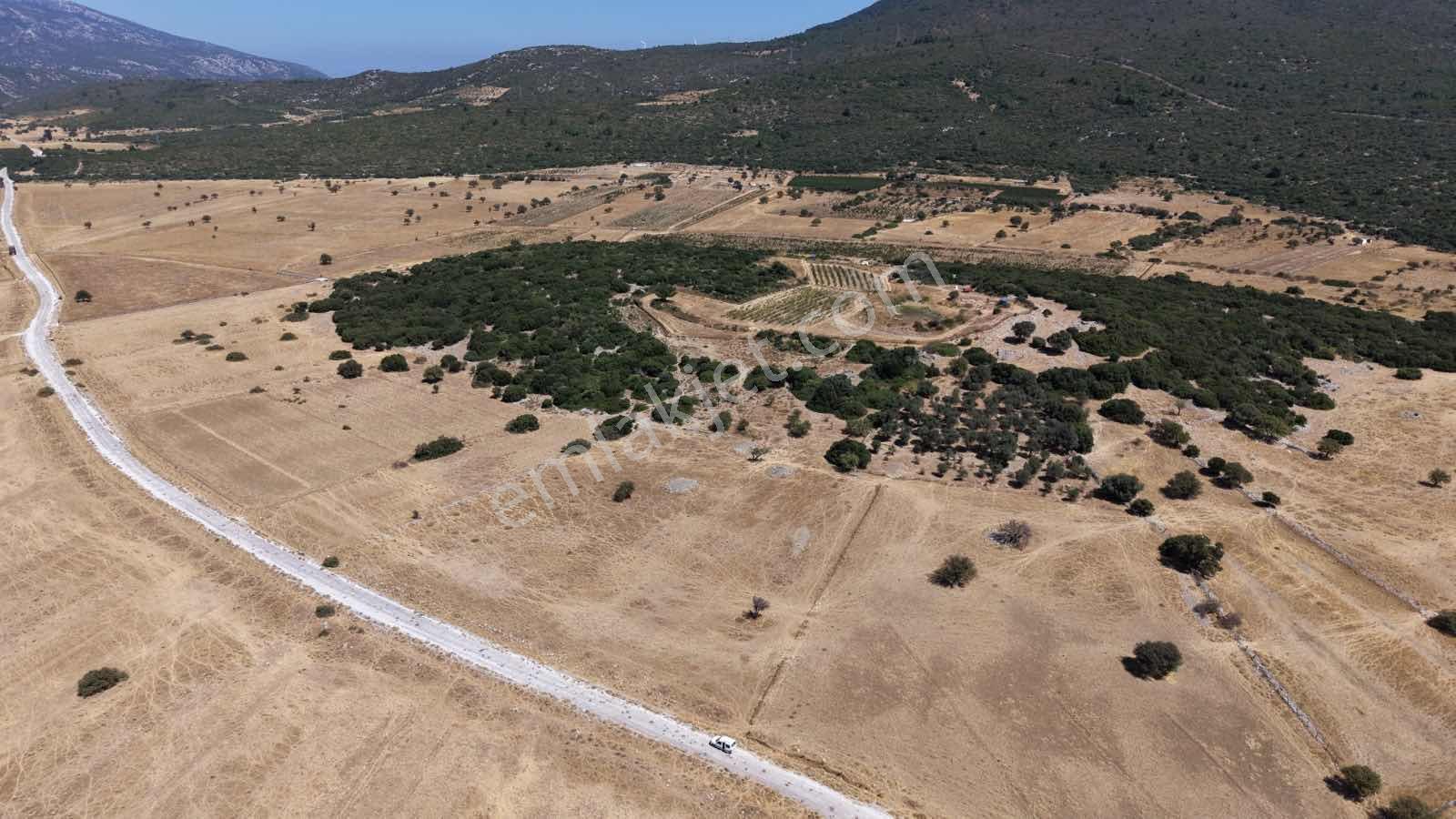 Startkey Ada Gayrimenkul'den Eğlenhoca Ovacıkta Yatırımlık Tarla — fotoğraf 27