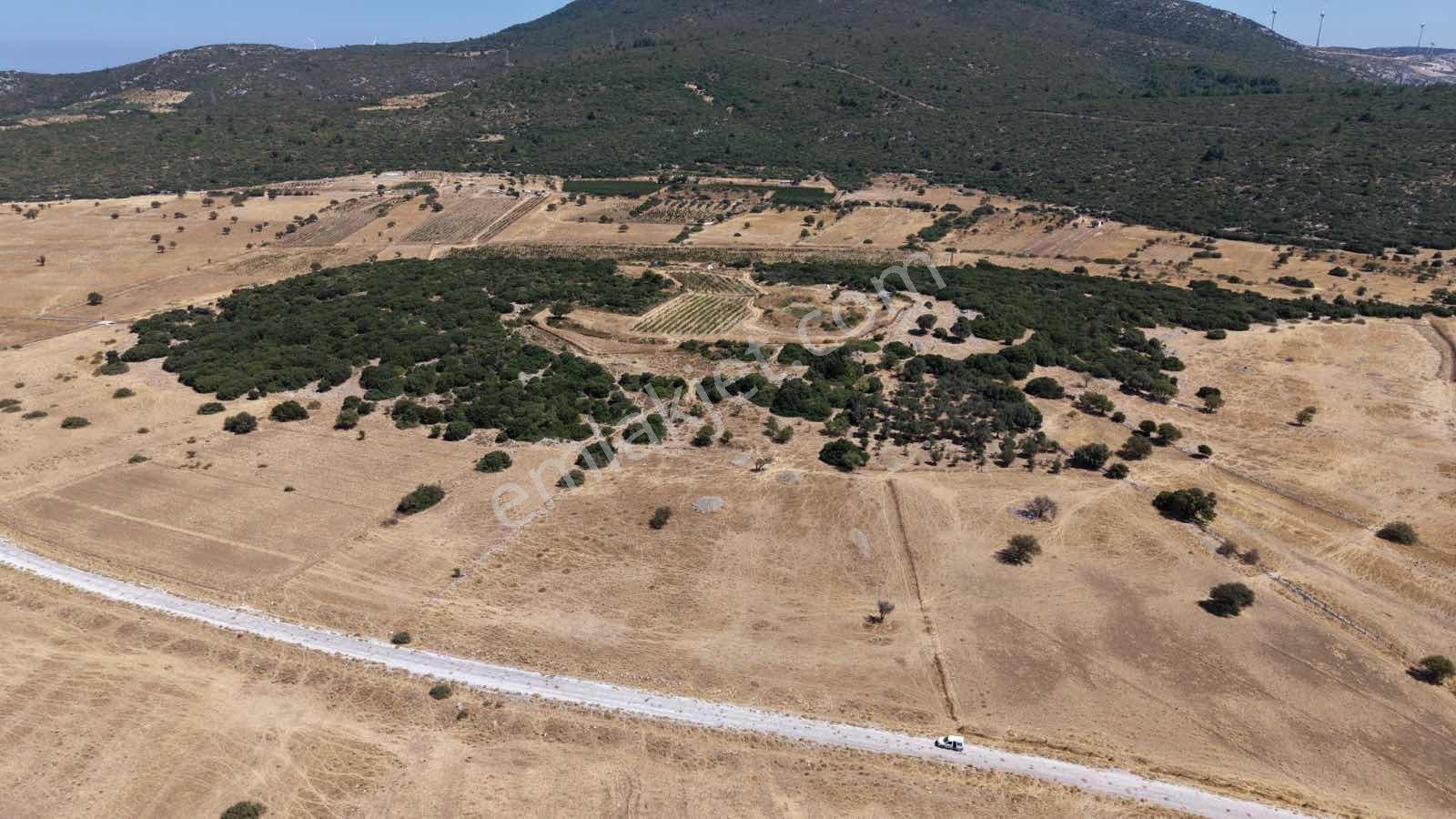 Startkey Ada Gayrimenkul'den Eğlenhoca Ovacıkta Yatırımlık Tarla — fotoğraf 29