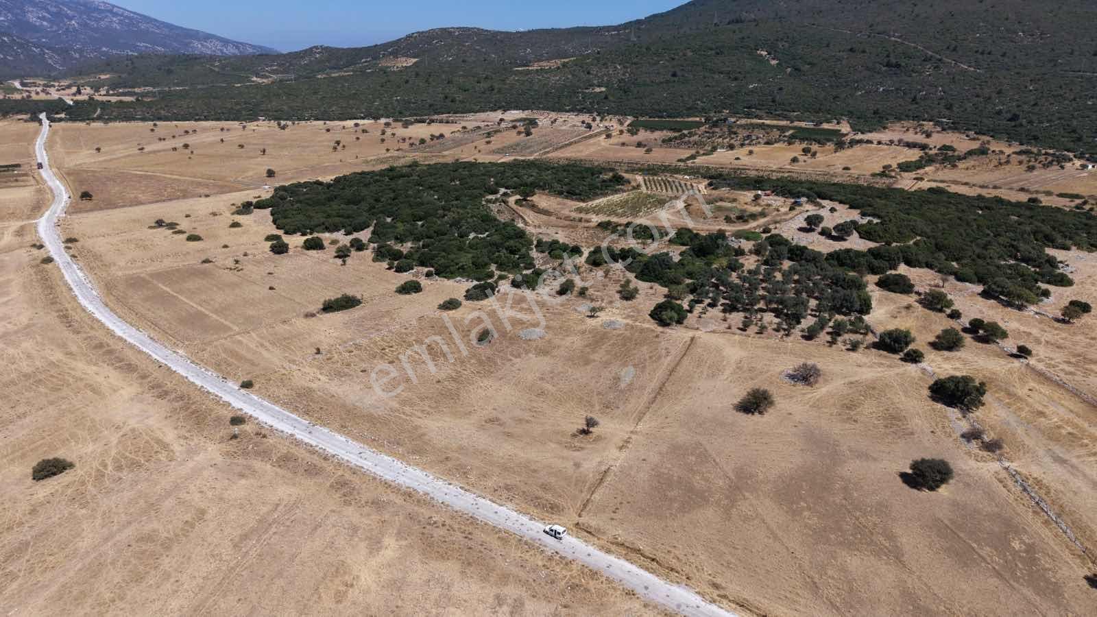 Startkey Ada Gayrimenkul'den Eğlenhoca Ovacıkta Yatırımlık Tarla — fotoğraf 38
