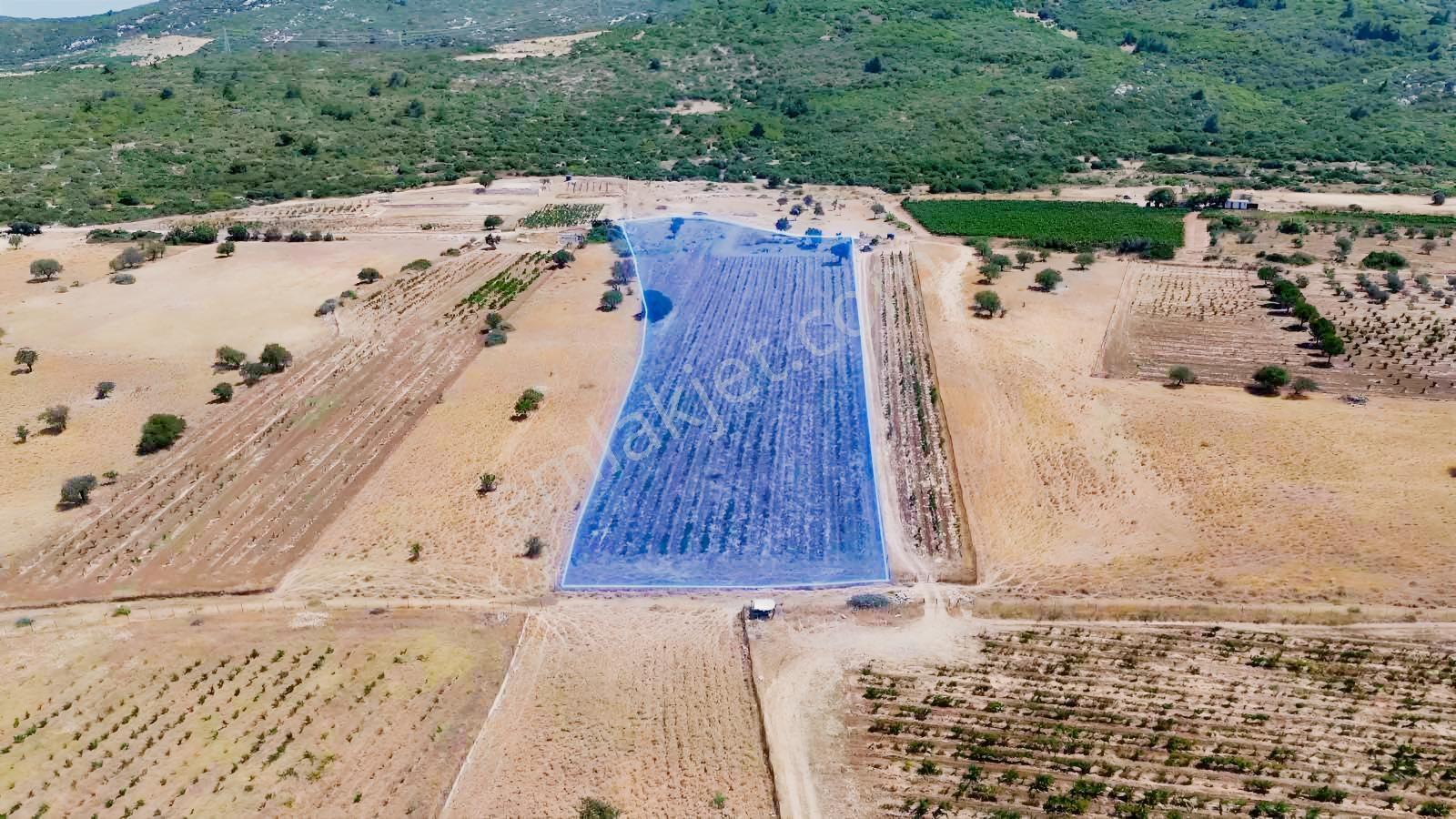 Eğlenhoca Aşağı Ovacık Ta 13.500 M2 Tarım İmarlı Arazi — fotoğraf 2