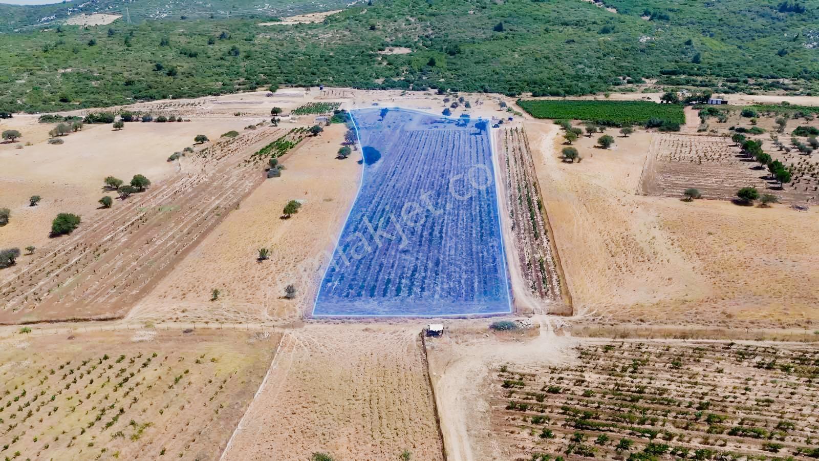 Eğlenhoca Aşağı Ovacık Ta 13.500 M2 Tarım İmarlı Arazi — fotoğraf 3