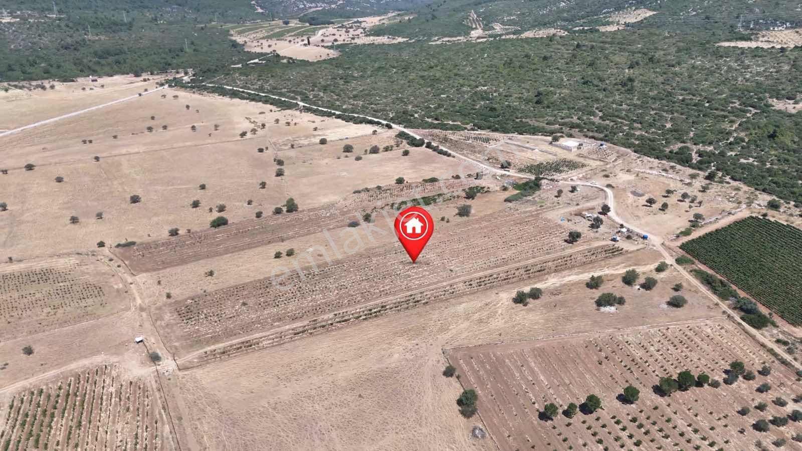 Eğlenhoca Aşağı Ovacık Ta 13.500 M2 Tarım İmarlı Arazi — fotoğraf 7