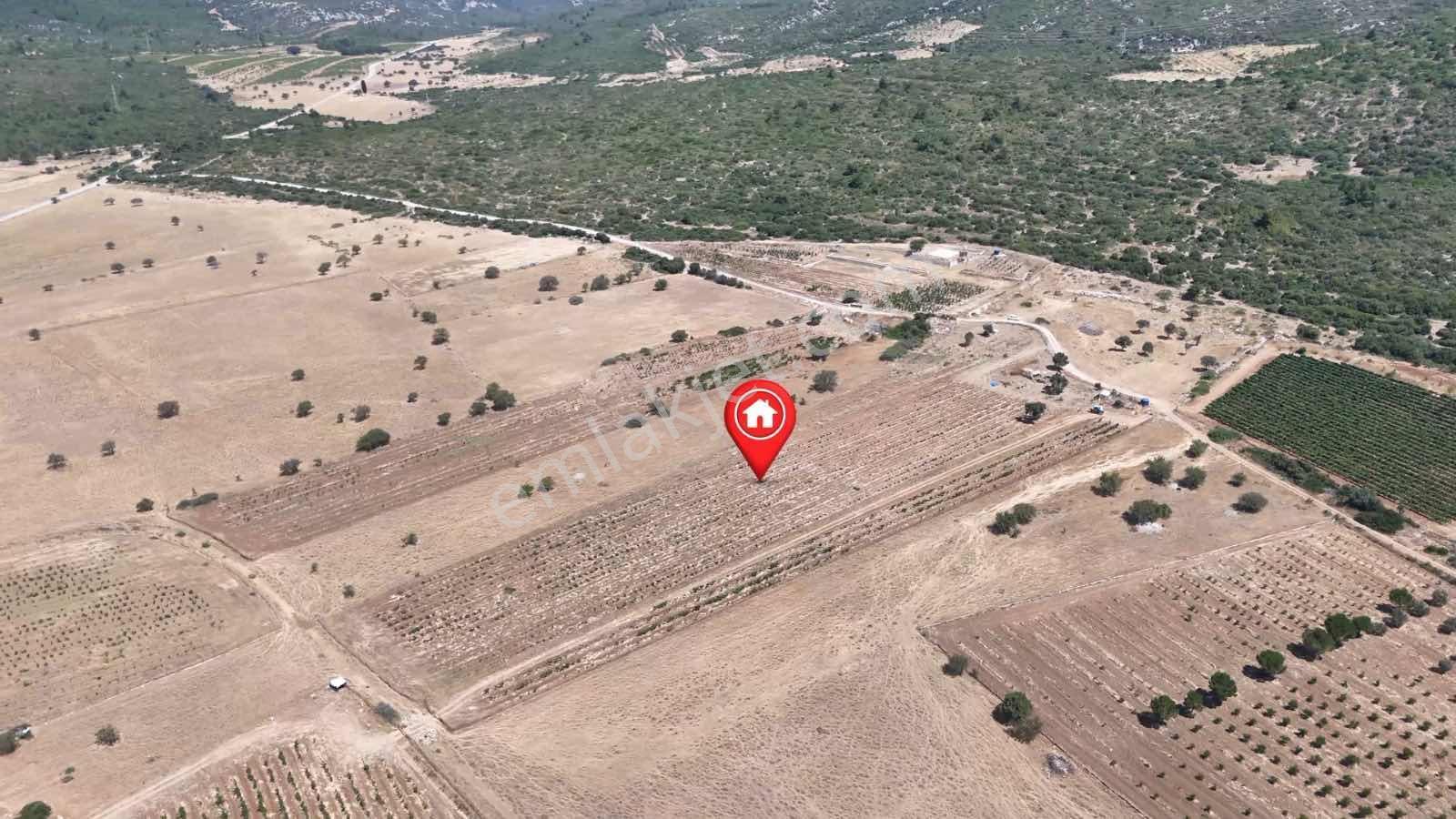 Eğlenhoca Aşağı Ovacık Ta 13.500 M2 Tarım İmarlı Arazi — fotoğraf 10