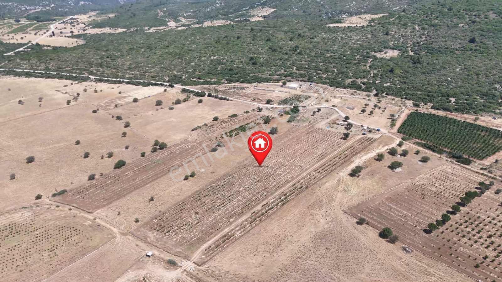 Eğlenhoca Aşağı Ovacık Ta 13.500 M2 Tarım İmarlı Arazi — fotoğraf 18