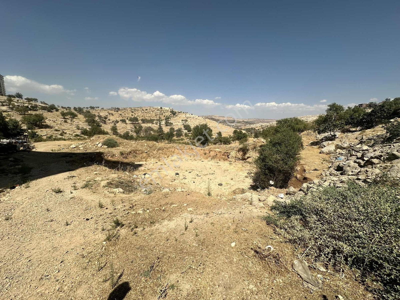 Sadeddin Engin/ Yalım Mh. Siteler Bölg. 1.555 M2 İmarlı Arsa — fotoğraf 12