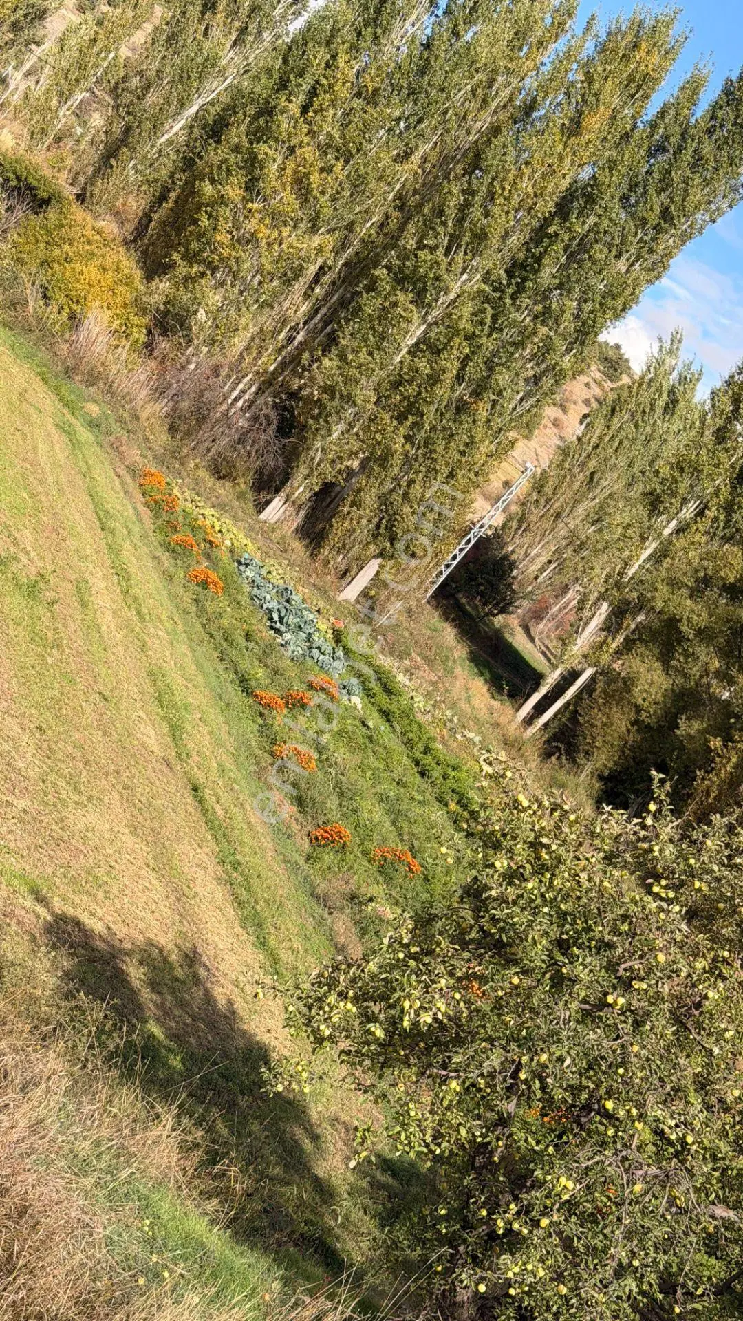 *hayallerinizdeki Hobi Bahçesi Şimdi Uygun Fiyata* Lale Köyü Dere+kapalı Devre Sulama -düz Alan — fotoğraf 3