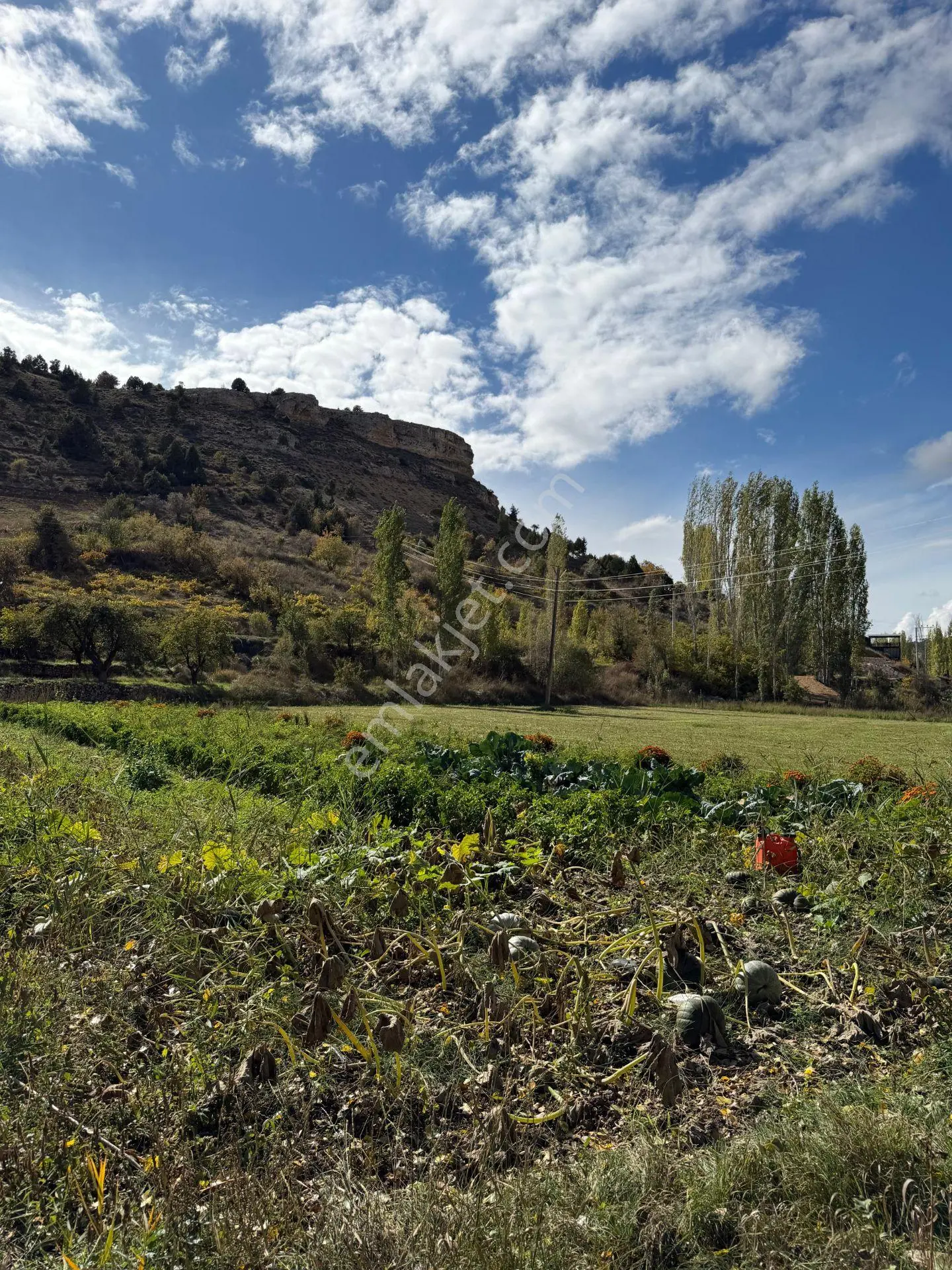 *hayallerinizdeki Hobi Bahçesi Şimdi Uygun Fiyata* Lale Köyü Dere+kapalı Devre Sulama -düz Alan — fotoğraf 5