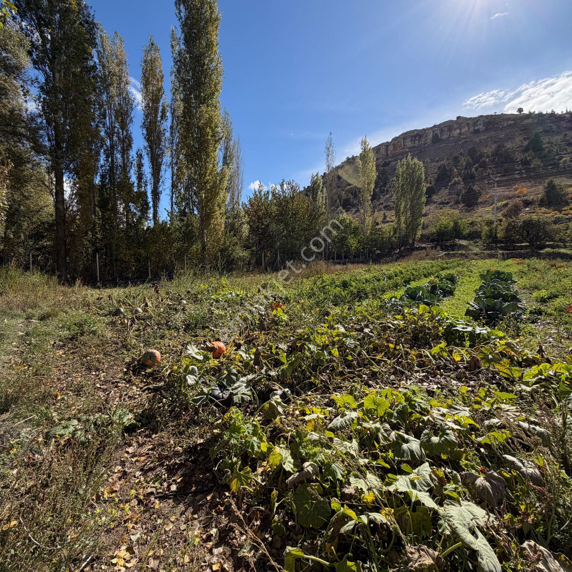*hayallerinizdeki Hobi Bahçesi Şimdi Uygun Fiyata* Lale Köyü Dere+kapalı Devre Sulama -düz Alan — fotoğraf 10