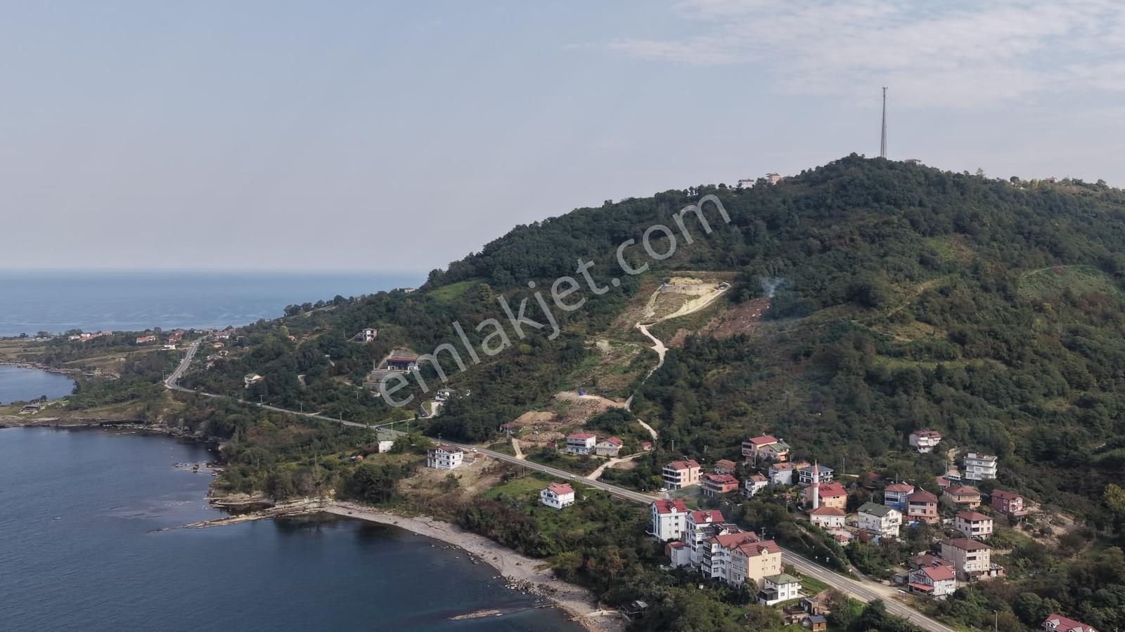 Ordu Perşembe Çaytepede 8.5 Dönüm Satılık Arsa — fotoğraf 2