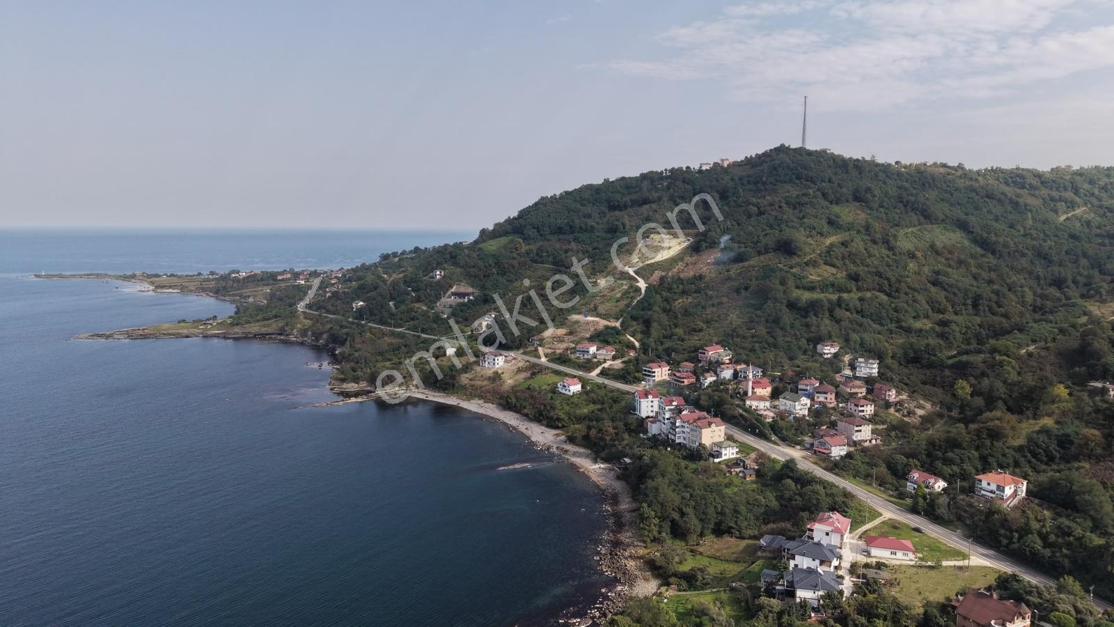 Ordu Perşembe Çaytepede 8.5 Dönüm Satılık Arsa — fotoğraf 3