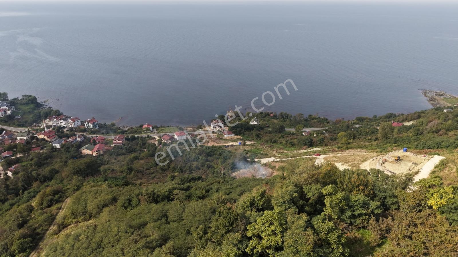 Ordu Perşembe Çaytepede 8.5 Dönüm Satılık Arsa — fotoğraf 4