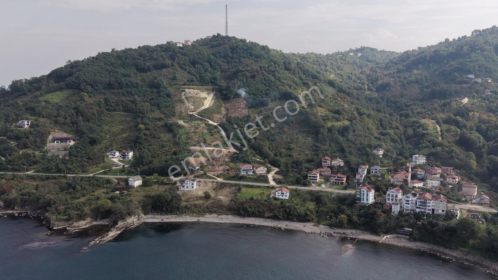 Ordu Perşembe Çaytepede 8.5 Dönüm Satılık Arsa — fotoğraf 7