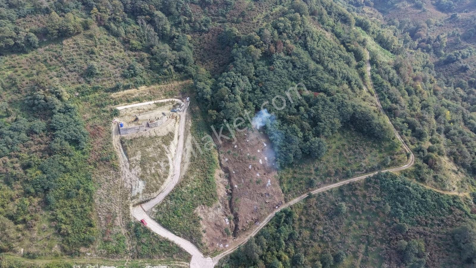 Ordu Perşembe Çaytepede 8.5 Dönüm Satılık Arsa — fotoğraf 8