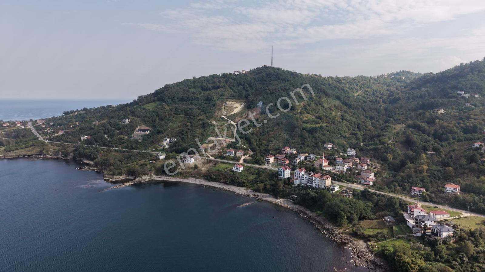 Ordu Perşembe Çaytepede 8.5 Dönüm Satılık Arsa — fotoğraf 9