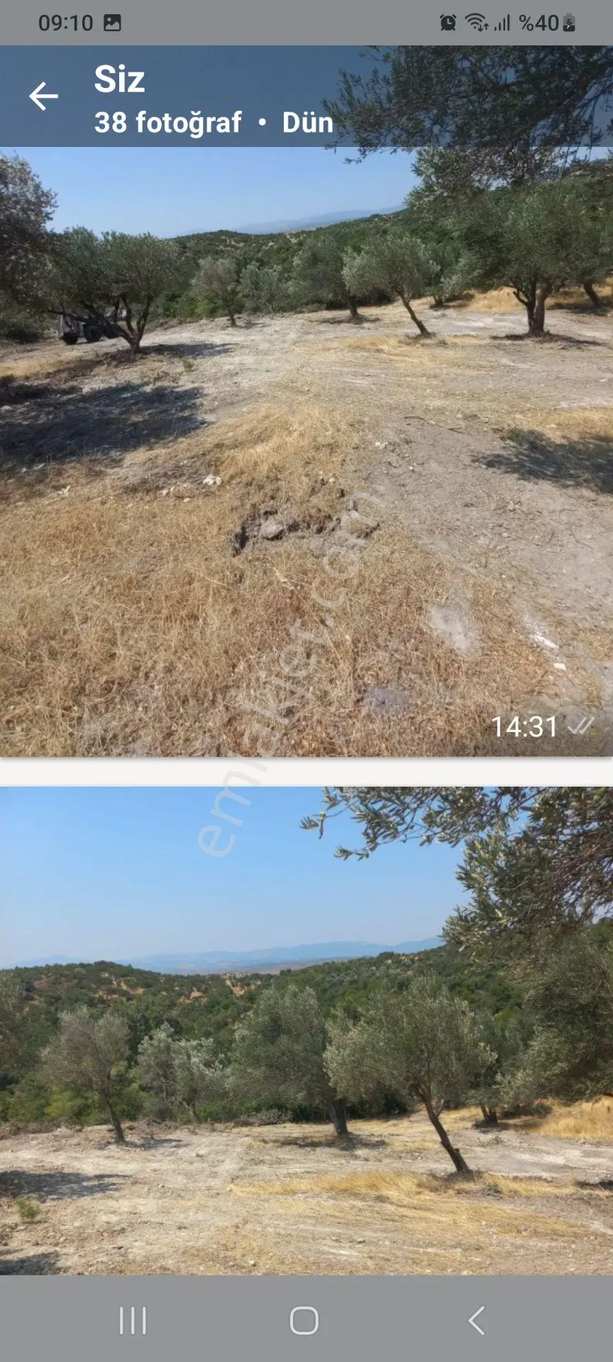 Satılık Müstakiltapu Zeytinlik — fotoğraf 4
