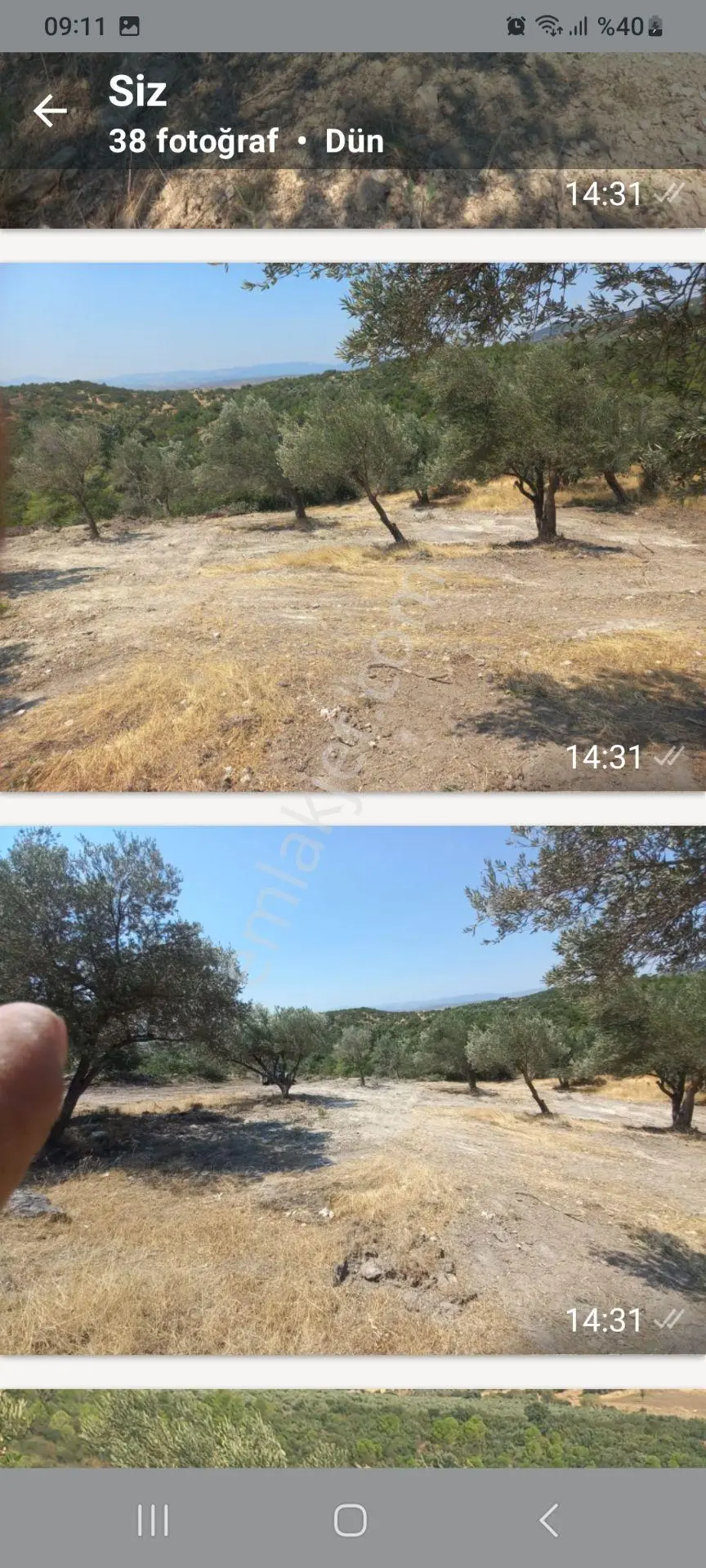 Satılık Müstakiltapu Zeytinlik — fotoğraf 5