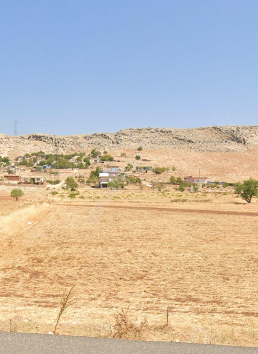 Diyarbakır-elazığ Yoluna Sıfır Değerli Tarla — fotoğraf 2