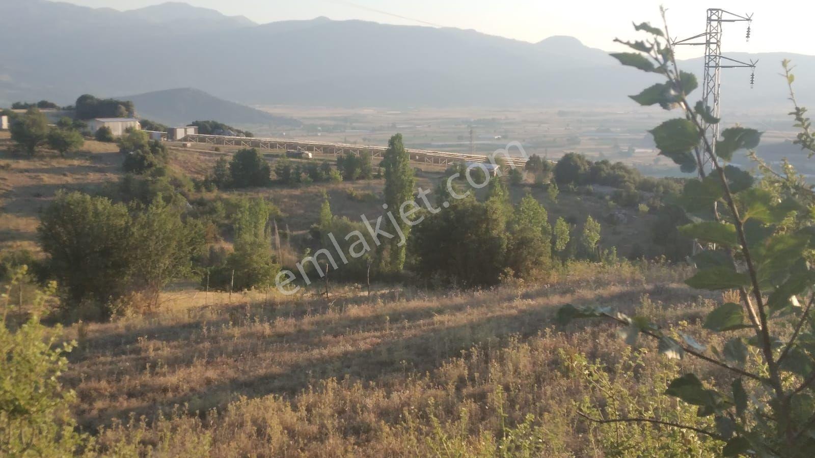 Seydikemer Seki Mah.İlkon'Dan Satılık Arazi