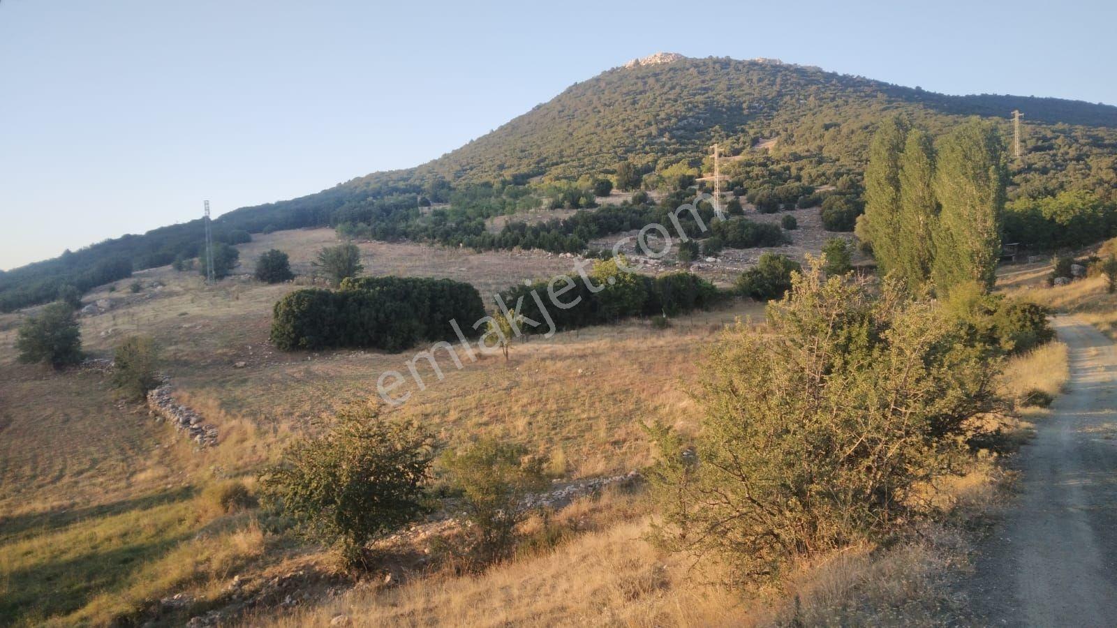 Seydikemer Seki Mah.ilkon'dan Satılık Arazi — fotoğraf 2