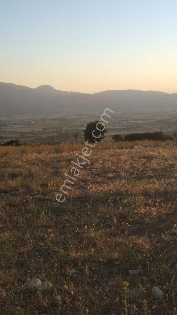 Seydikemer Seki Mah.ilkon'dan Satılık Arazi — fotoğraf 3