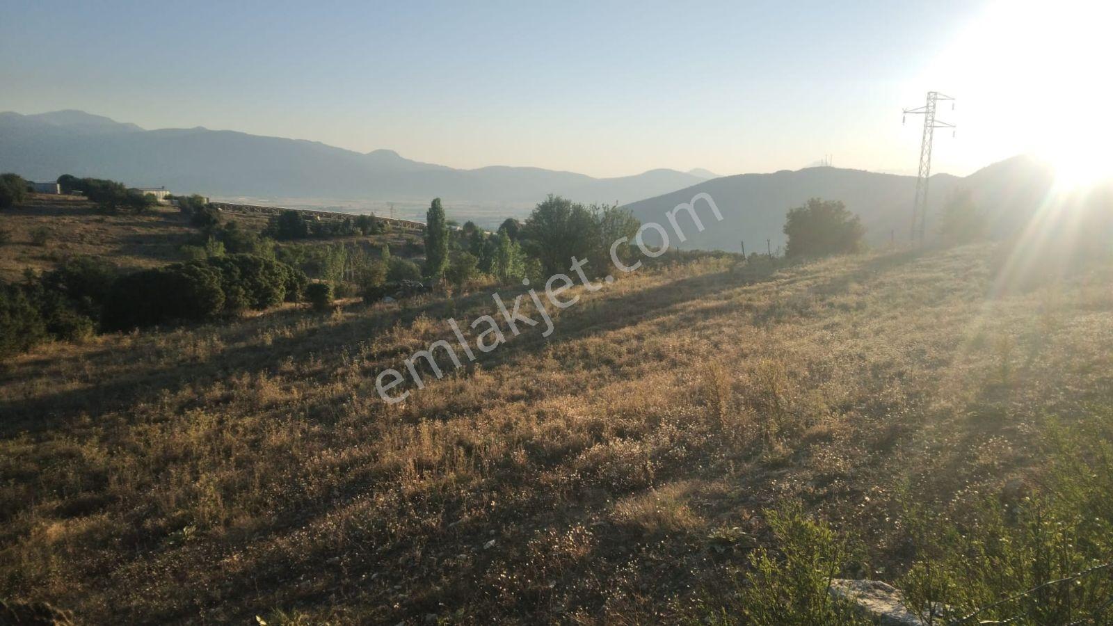 Seydikemer Seki Mah.ilkon'dan Satılık Arazi — fotoğraf 5