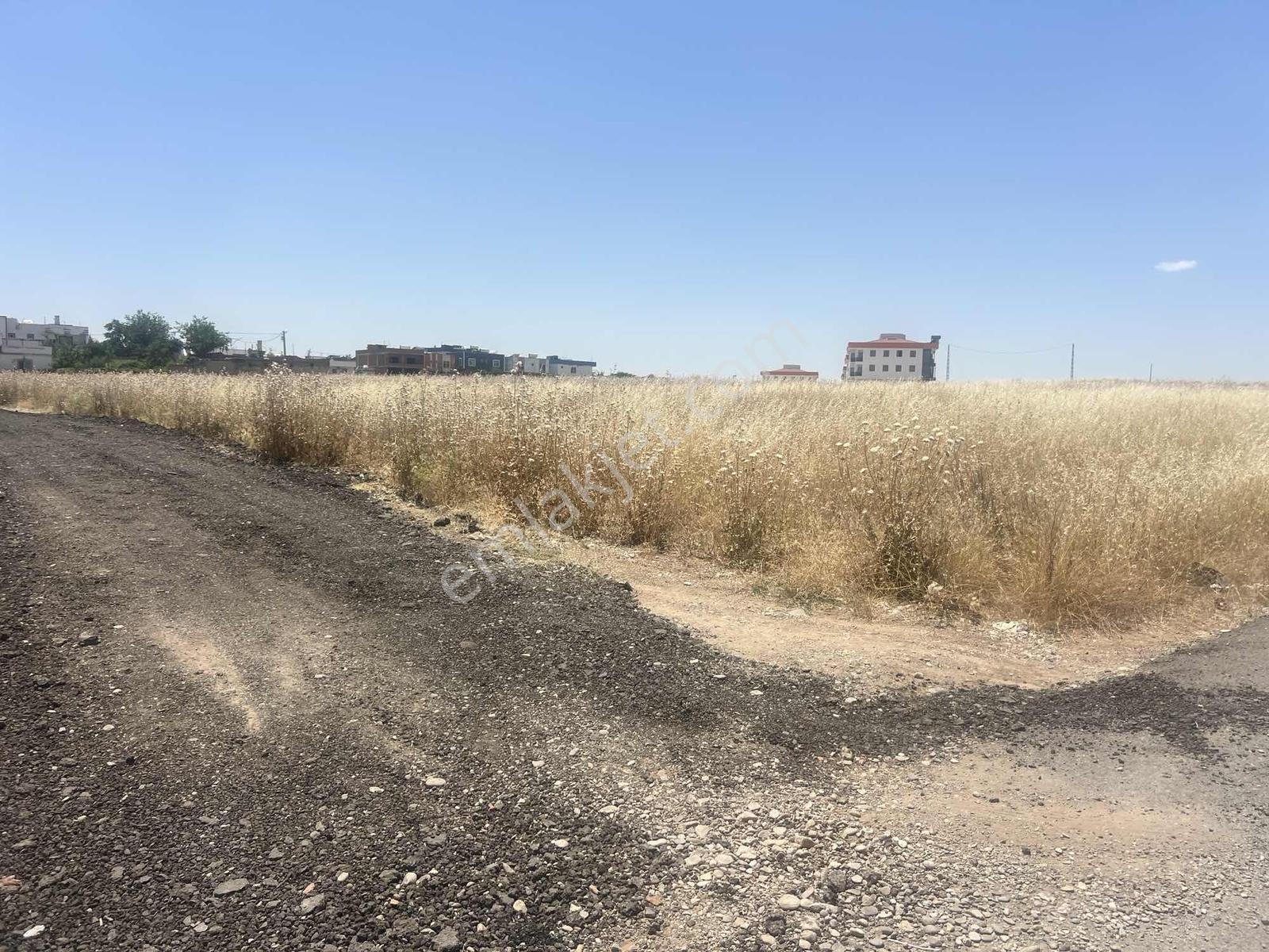 Sur Bağıvarda Şehir Merkezie Yakın Satılık İmarlı İfrazlı Arsa — fotoğraf 12