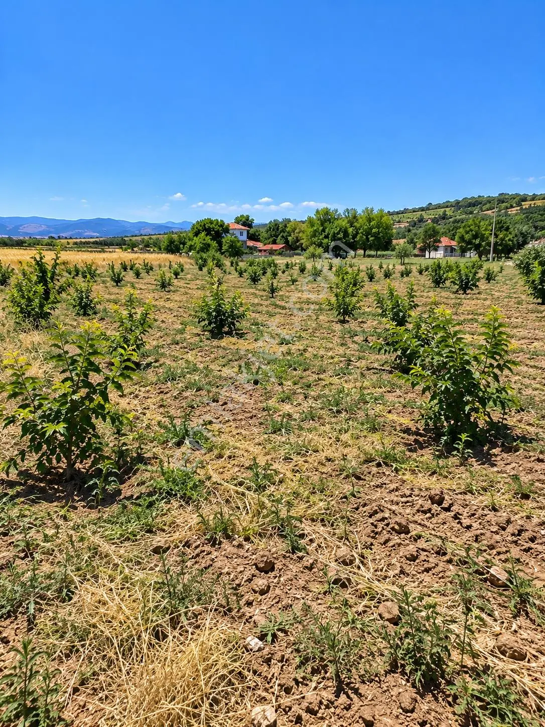 Denizli Acıpayam Akalan 1166 Ada 10 Par 2.072m2 Tarla Resmi Yola Cephesi Vardır Müstakil Tapulu — fotoğraf 3