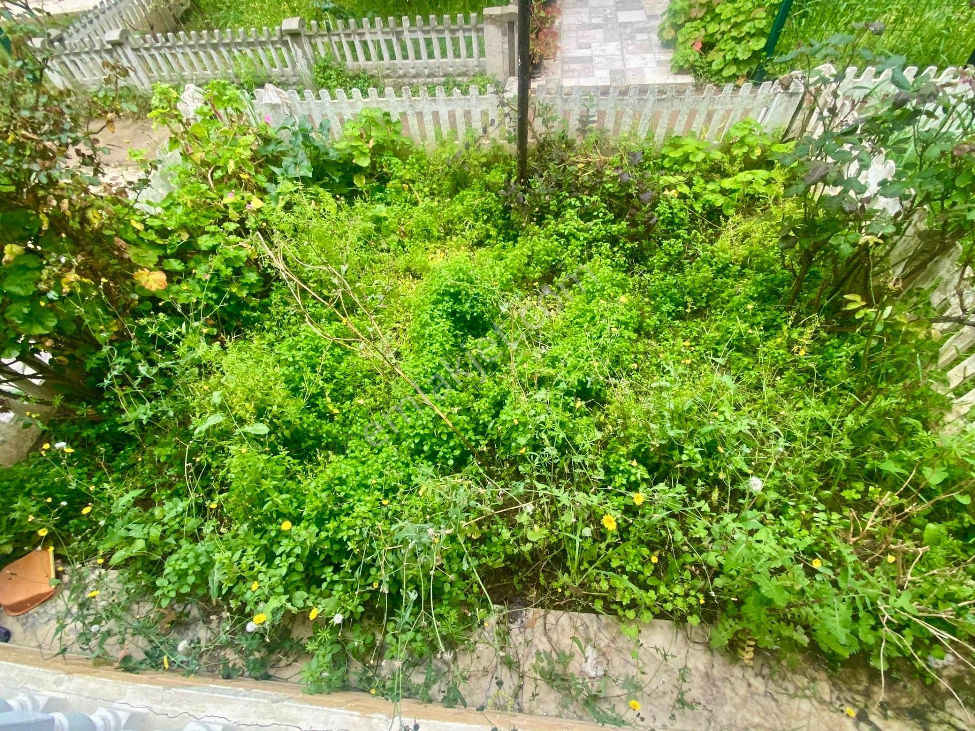 Ortamahallede Denize 50m 4+1 Masrafsız Villa ( Teklife Açık) — fotoğraf 4